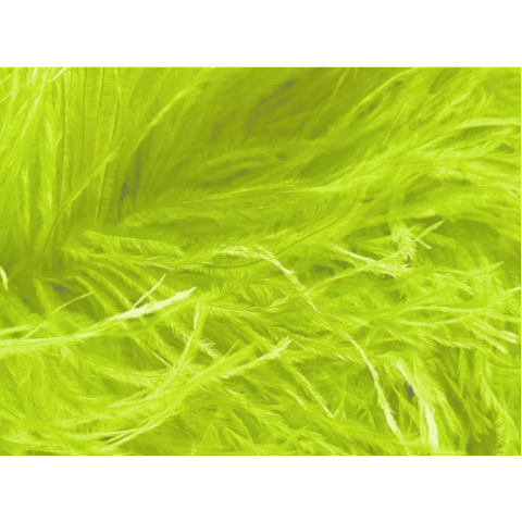 BOA STRUSIE CHRISANNE tropic lime