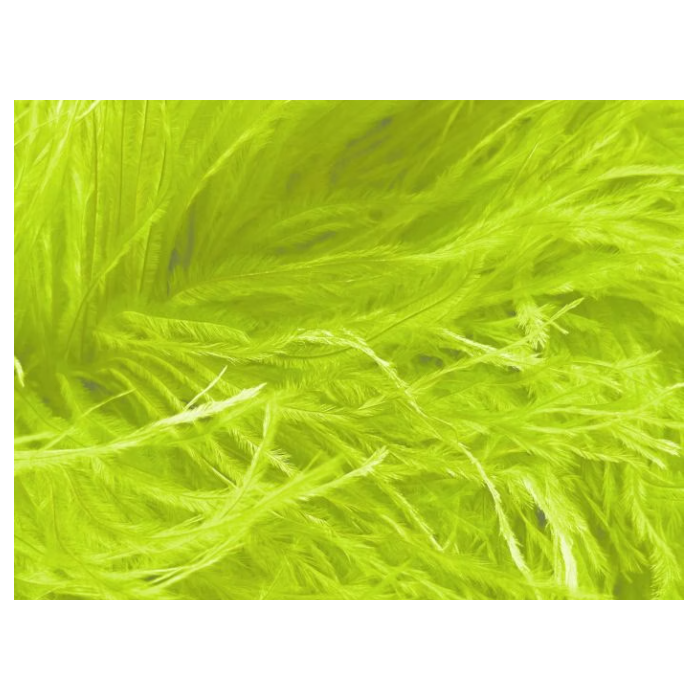 BOA STRUSIE CHRISANNE tropic lime