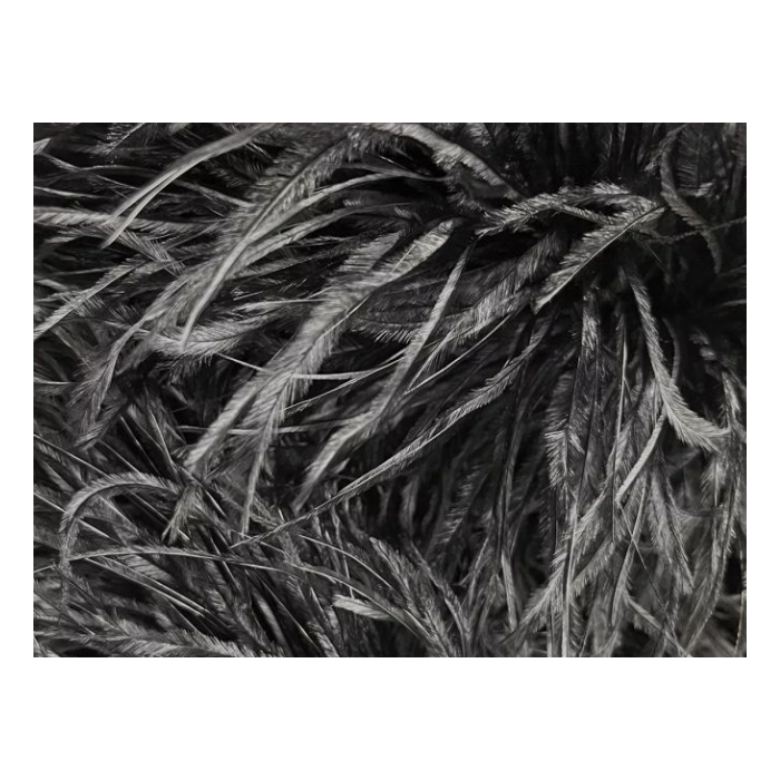 BOA STRUSIE DSI black