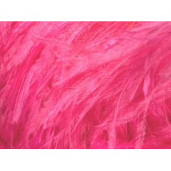 BOA STRUSIE cerise