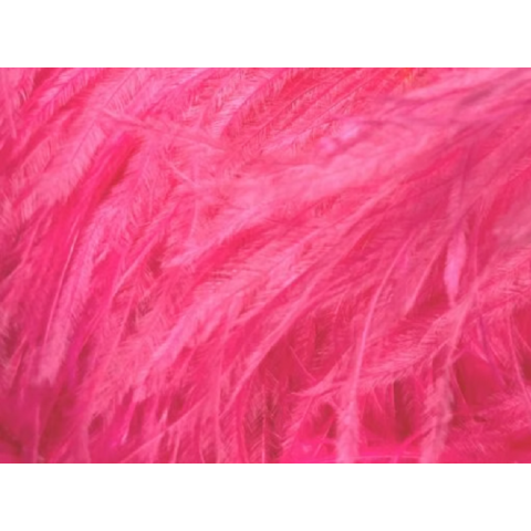 BOA STRUSIE cerise