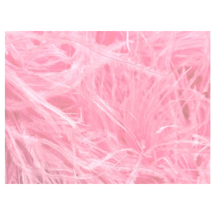 BOA STRUSIE sugar pink