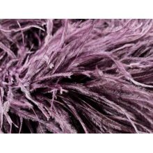 BOA STRUSIE plum