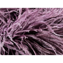 BOA STRUSIE plum