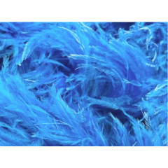 BOA STRUSIE electric blue