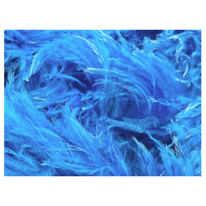 BOA STRUSIE electric blue