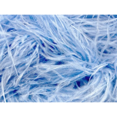 BOA STRUSIE bluebell
