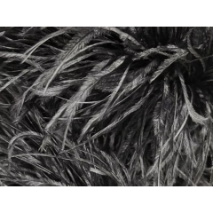 BOA STRUSIE black