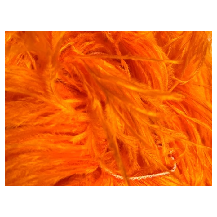 BOA STRUSIE orange