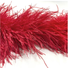 BOA STRUSIE flamenco / red