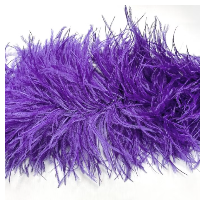 BOA STRUSIE purple / purple rain