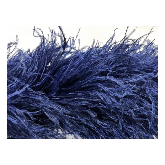BOA STRUSIE midnight sky / navy