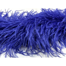 BOA STRUSIE sapphire / blueberry