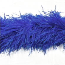 BOA STRUSIE cobalt