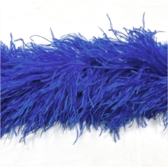 BOA STRUSIE cobalt