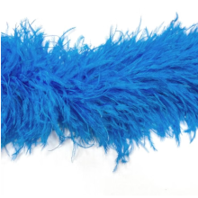 BOA STRUSIE electric blue / ocean blue