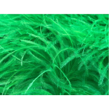 BOA STRUSIE spring / apple green