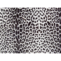 HUNTER LYCRA