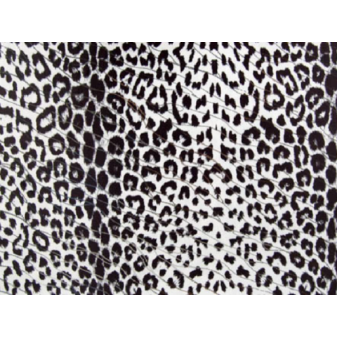 HUNTER LYCRA