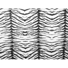 TIGER LYCRA