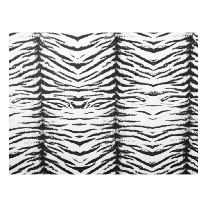 TIGER LYCRA